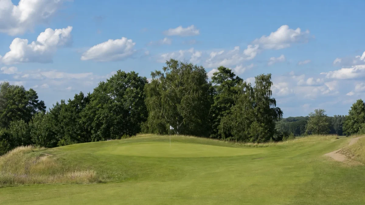 Golfare på Ängsbanan vid en green med flagga