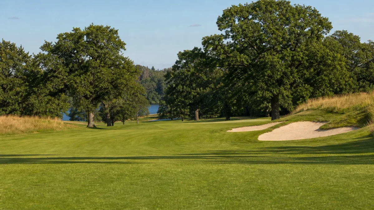 Kortklippt fairway, stora ekar och bunkrar på Sigtuna Golfklubbs 18-hålsbana